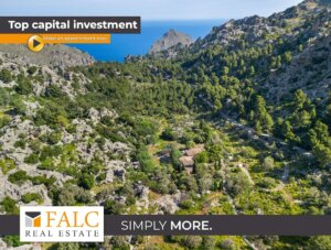 Traditionelles Landgut mit Restaurant, Ölmühle und spektakulärer Lage in der Tramuntana